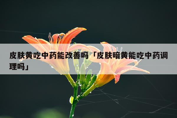 皮肤黄吃中药能改善吗「皮肤暗黄能吃中药调理吗」