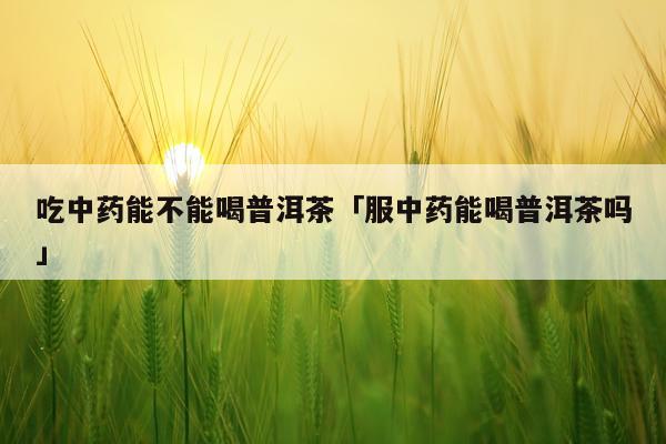吃中药能不能喝普洱茶「服中药能喝普洱茶吗」
