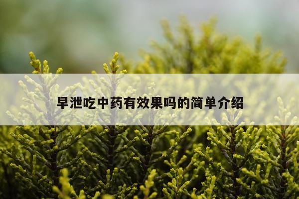 早泄吃中药有效果吗的简单介绍