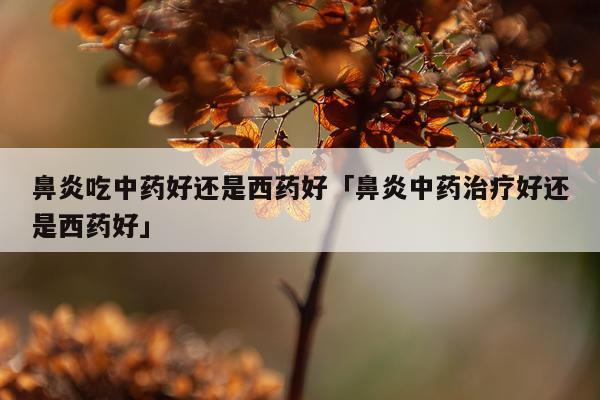 鼻炎吃中药好还是西药好「鼻炎中药治疗好还是西药好」