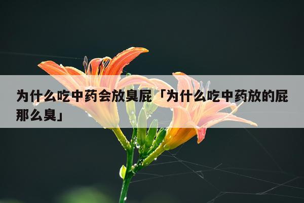 为什么吃中药会放臭屁「为什么吃中药放的屁那么臭」