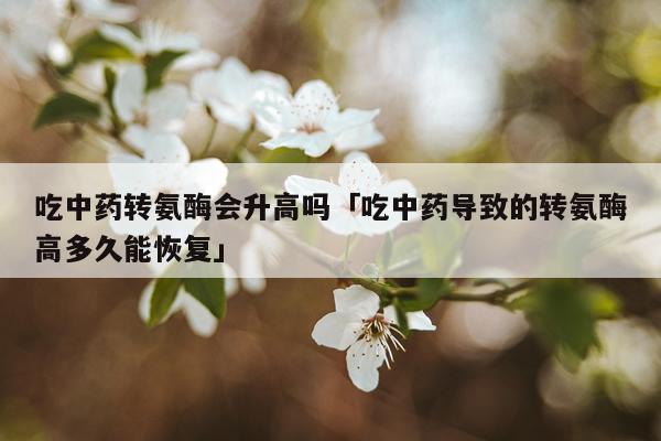 吃中药转氨酶会升高吗「吃中药导致的转氨酶高多久能恢复」