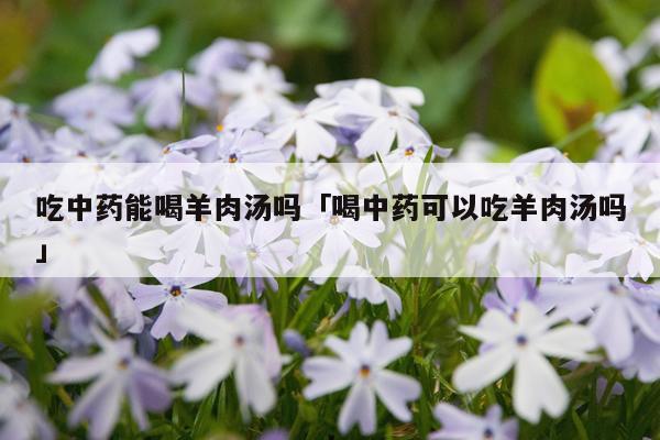 吃中药能喝羊肉汤吗「喝中药可以吃羊肉汤吗」
