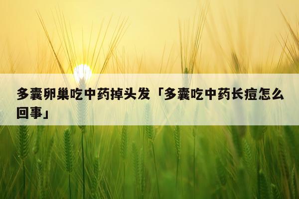 多囊卵巢吃中药掉头发「多囊吃中药长痘怎么回事」