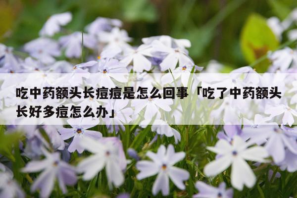 吃中药额头长痘痘是怎么回事「吃了中药额头长好多痘怎么办」