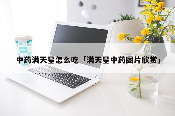 中药满天星怎么吃「满天星中药图片欣赏」
