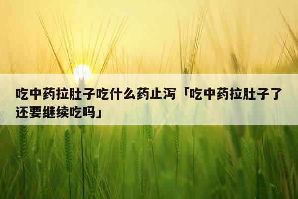 吃中药拉肚子吃什么药止泻「吃中药拉肚子了还要继续吃吗」