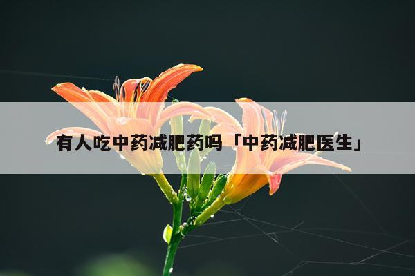 有人吃中药减肥药吗「中药减肥医生」