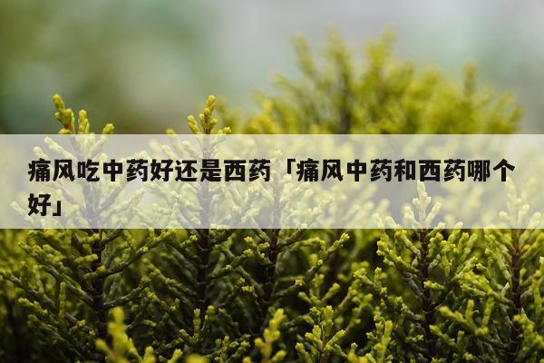 痛风吃中药好还是西药「痛风中药和西药哪个好」