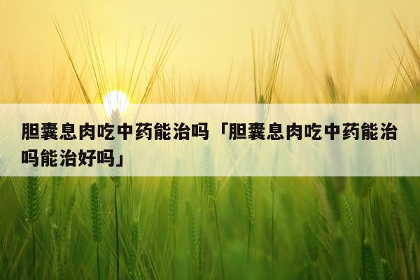 胆囊息肉吃中药能治吗「胆囊息肉吃中药能治吗能治好吗」