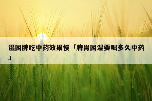 湿困脾吃中药效果慢「脾胃困湿要喝多久中药」