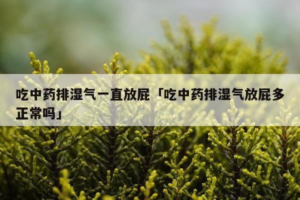 吃中药排湿气一直放屁「吃中药排湿气放屁多正常吗」