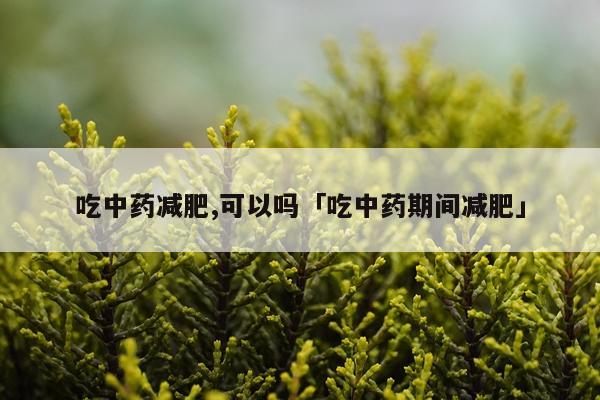 吃中药减肥,可以吗「吃中药期间减肥」
