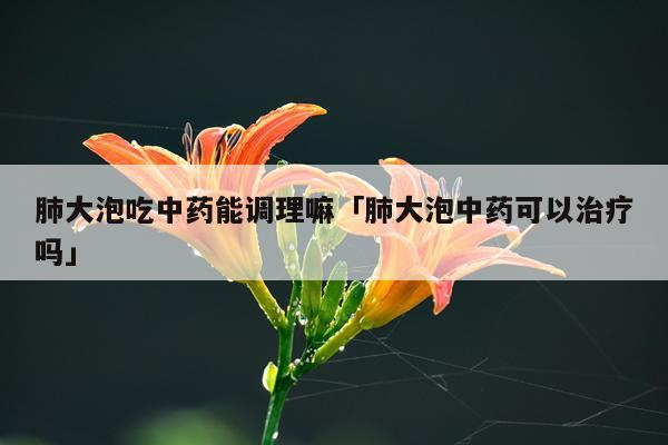 肺大泡吃中药能调理嘛「肺大泡中药可以治疗吗」