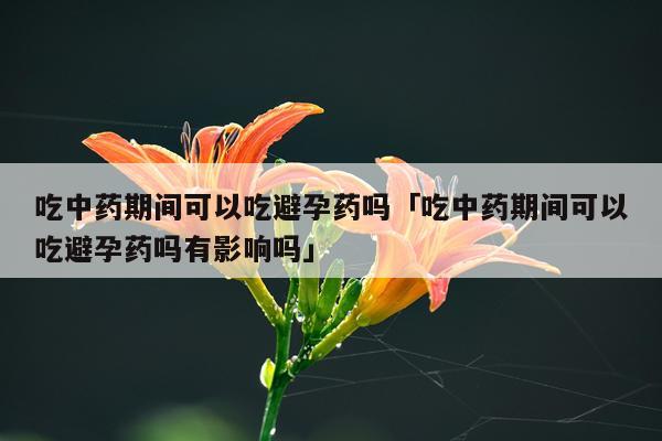 吃中药期间可以吃避孕药吗「吃中药期间可以吃避孕药吗有影响吗」