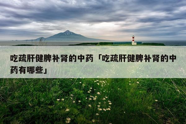 吃疏肝健脾补肾的中药「吃疏肝健脾补肾的中药有哪些」