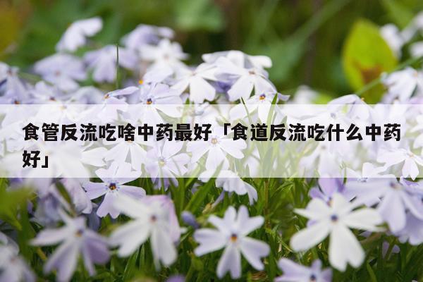 食管反流吃啥中药最好「食道反流吃什么中药好」