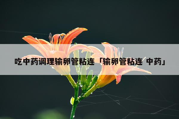 吃中药调理输卵管粘连「输卵管粘连 中药」