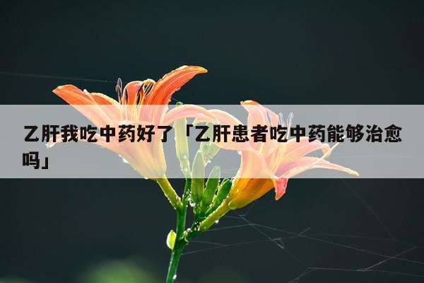 乙肝我吃中药好了「乙肝患者吃中药能够治愈吗」