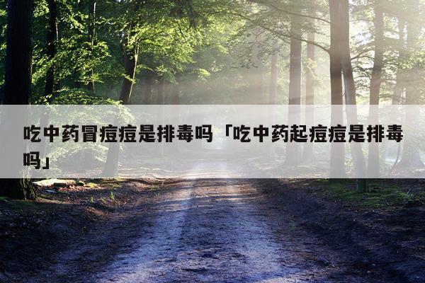 吃中药冒痘痘是排毒吗「吃中药起痘痘是排毒吗」