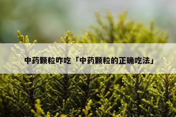 中药颗粒咋吃「中药颗粒的正确吃法」