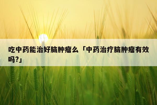 吃中药能治好脑肿瘤么「中药治疗脑肿瘤有效吗?」