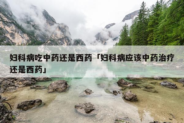 妇科病吃中药还是西药「妇科病应该中药治疗还是西药」