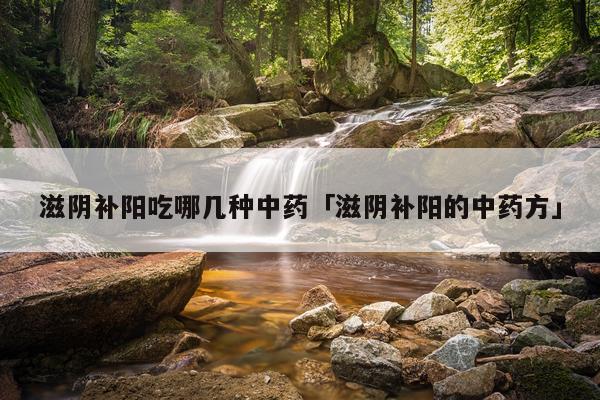 滋阴补阳吃哪几种中药「滋阴补阳的中药方」