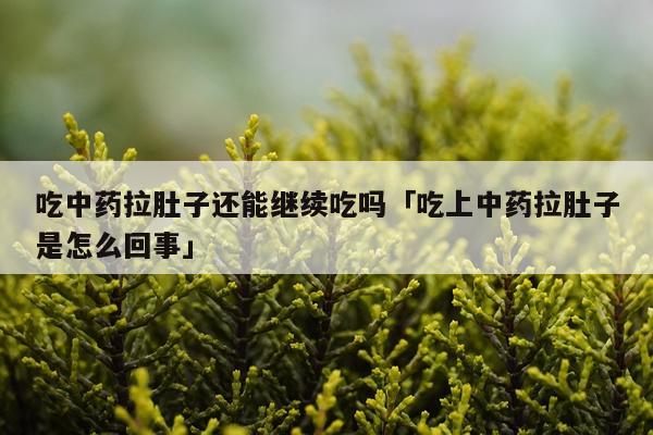 吃中药拉肚子还能继续吃吗「吃上中药拉肚子是怎么回事」