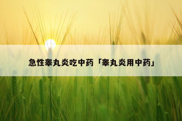急性睾丸炎吃中药「睾丸炎用中药」