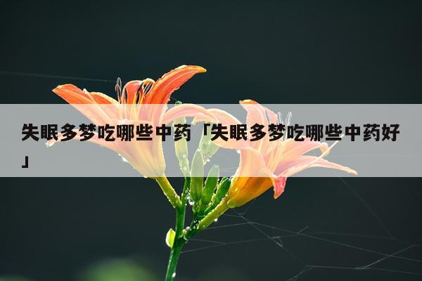 失眠多梦吃哪些中药「失眠多梦吃哪些中药好」