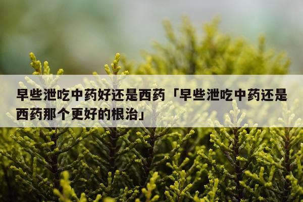 早些泄吃中药好还是西药「早些泄吃中药还是西药那个更好的根治」