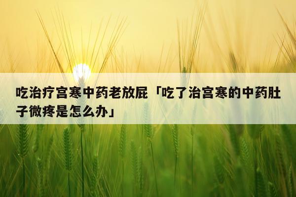吃治疗宫寒中药老放屁「吃了治宫寒的中药肚子微疼是怎么办」