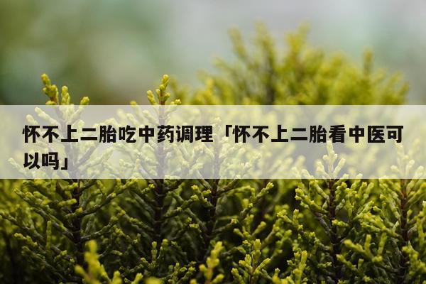 怀不上二胎吃中药调理「怀不上二胎看中医可以吗」