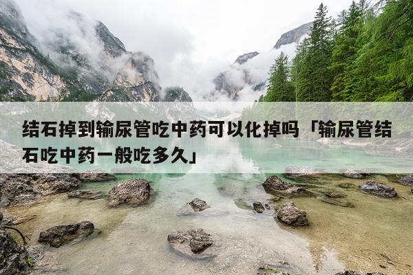 结石掉到输尿管吃中药可以化掉吗「输尿管结石吃中药一般吃多久」