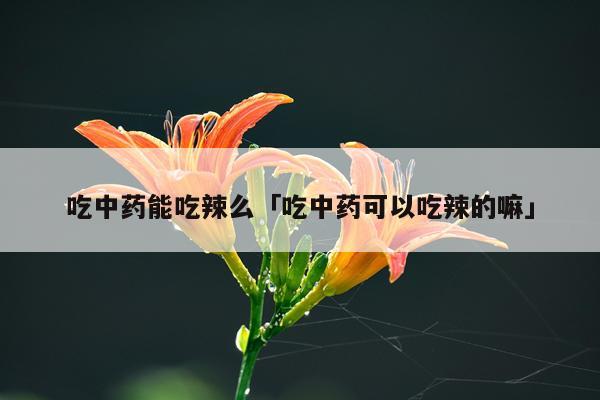 吃中药能吃辣么「吃中药可以吃辣的嘛」