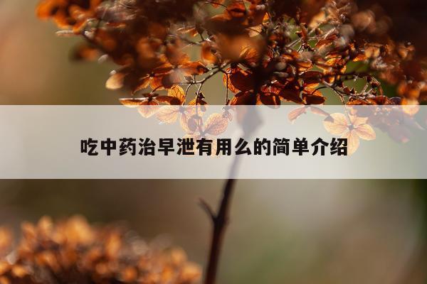 吃中药治早泄有用么的简单介绍