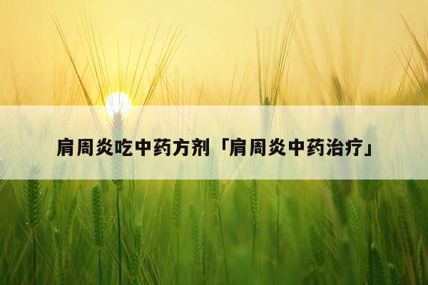 肩周炎吃中药方剂「肩周炎中药治疗」