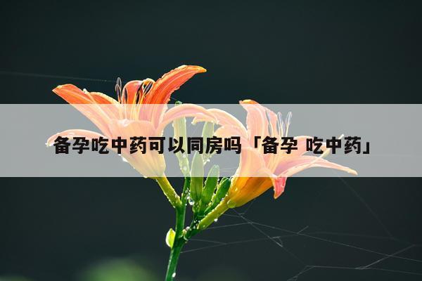 备孕吃中药可以同房吗「备孕 吃中药」